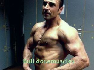 Bull_dosemuscles