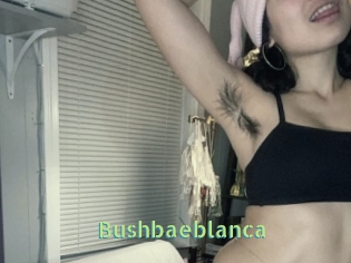 Bushbaeblanca