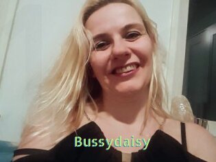 Bussydaisy