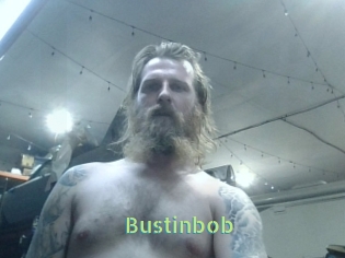 Bustinbob