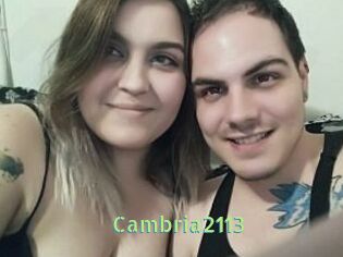 Cambria2113