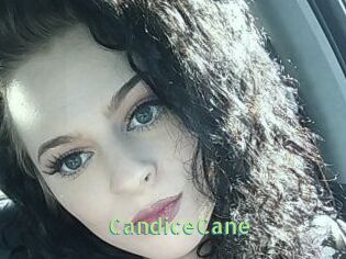 Candice_Cane Une Etudiante Sexy