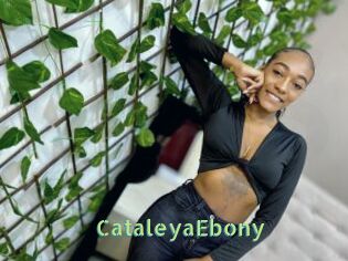 CataleyaEbony