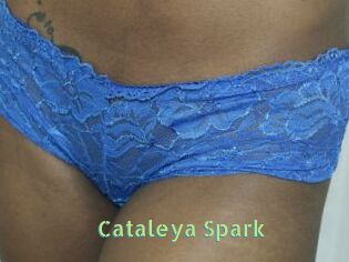 Cataleya_Spark