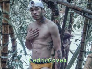 CedricGovea