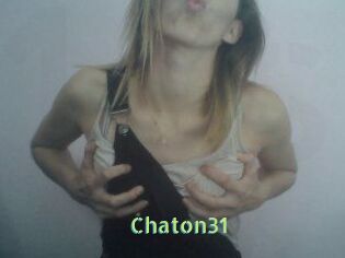Chaton31