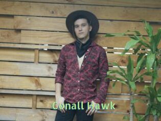 Conall_Hawk