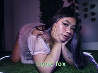 Conie_fox
