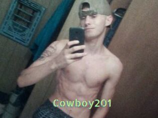 Cowboy201