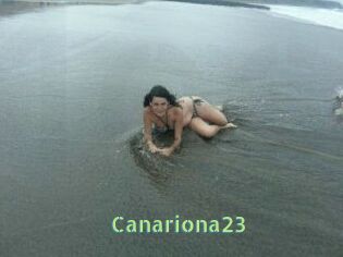 Canariona23