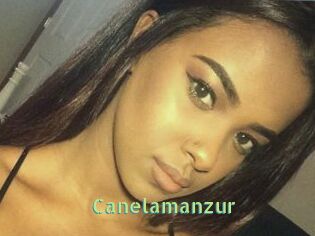 Canelamanzur