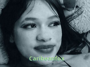 Caribeanfox