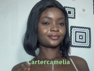 cartercamelia Une Etudiante Sexy