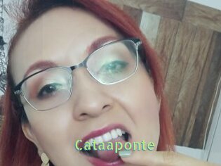 Cataaponte