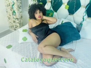 Cataleyaguerrero