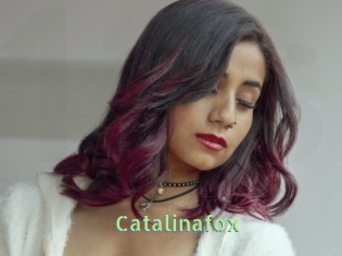 Catalinafox