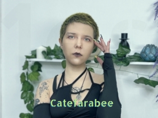 Catefarabee