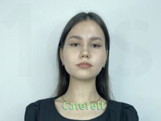 Catefelt