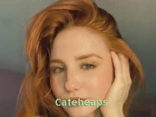 Cateheaps