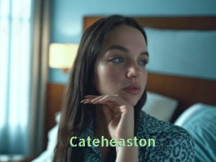Cateheaston