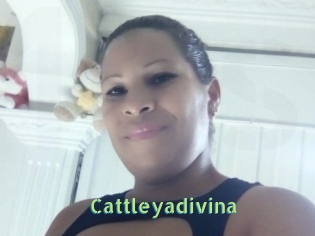 Cattleyadivina