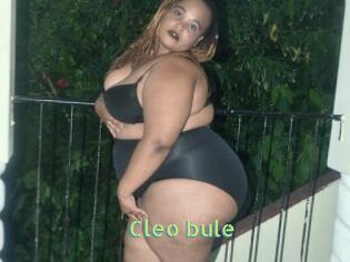 Cleo_bule