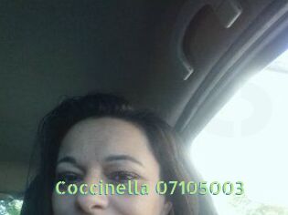 Coccinella-07105003