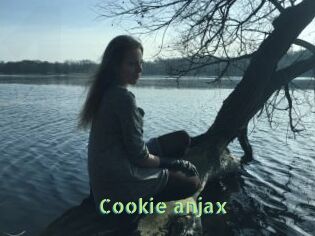 Cookie_anjax