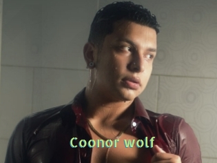 Coonor_wolf