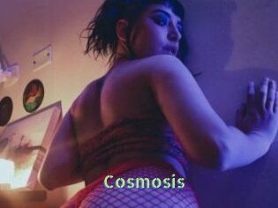 Cosmosis