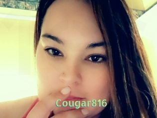 Cougar816