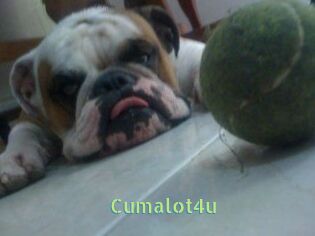 Cumalot4u
