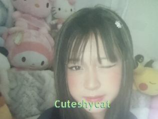 Cuteshycat