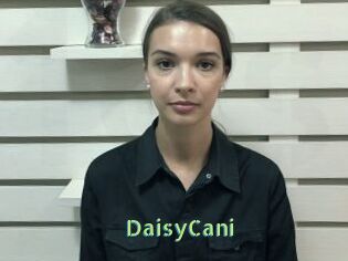 DaisyCani