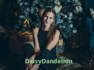 DaisyDandelion