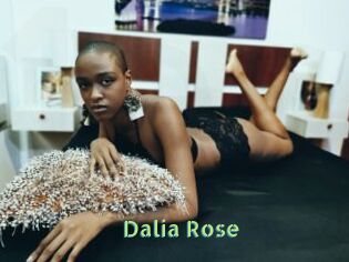 Dalia_Rose