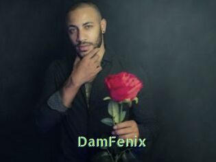 DamFenix