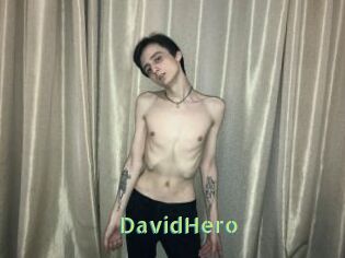 DavidHero