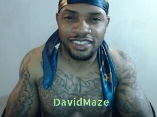David_Maze