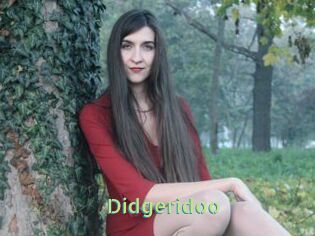 Didgeridoo