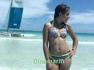 Dinamarin