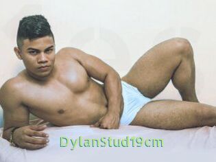 DylanStud19cm