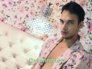 Dylanmeierr