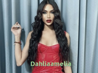 Dahliaamelia
