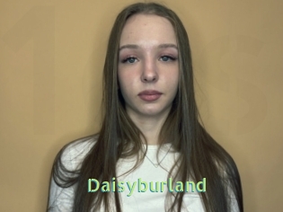Daisyburland