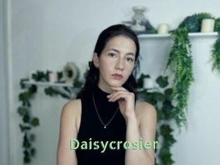 Daisycrosier