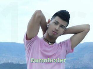 Damnfoxter