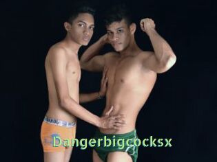 Dangerbigcocksx