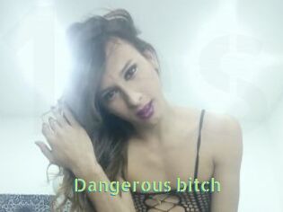 Dangerous_bitch