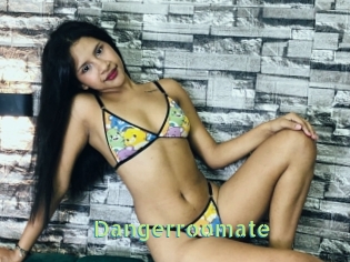 Dangerroomate